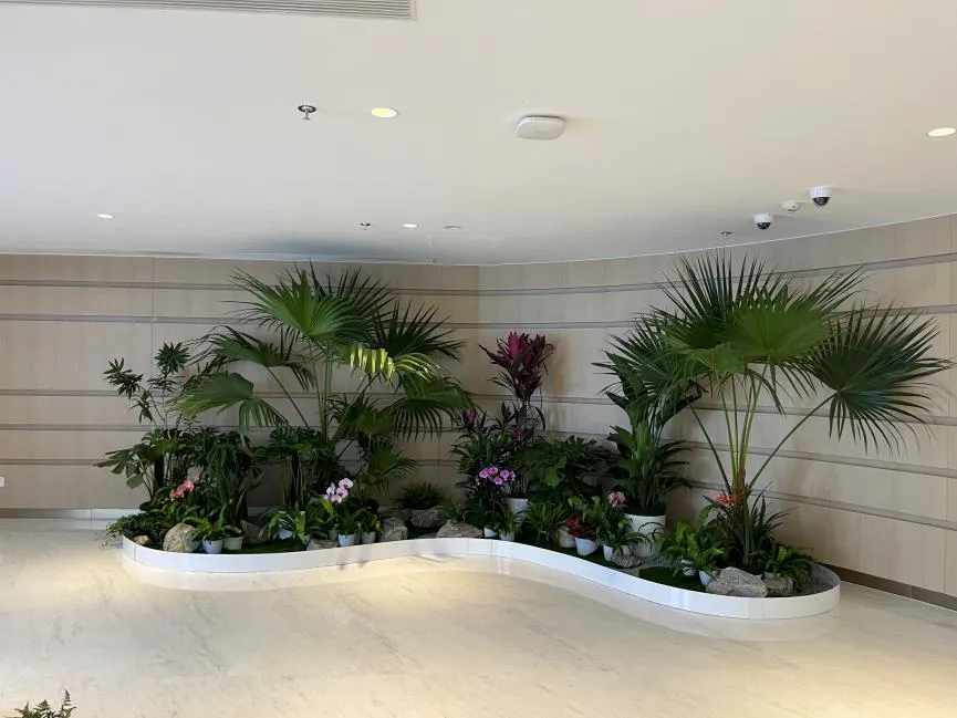 前湾绿植租摆价格